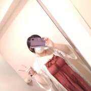 ヒメ日記 2025/07/08 12:52 投稿 玲 いたずらSぽっちゃりニャン娘