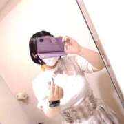 ヒメ日記 2025/08/29 15:39 投稿 玲 いたずらSぽっちゃりニャン娘