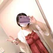 ヒメ日記 2025/09/12 14:40 投稿 玲 いたずらSぽっちゃりニャン娘