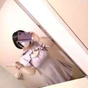 ヒメ日記 2025/09/13 16:16 投稿 玲 いたずらSぽっちゃりニャン娘