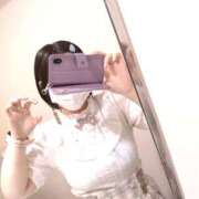 ヒメ日記 2025/09/15 23:53 投稿 玲 いたずらSぽっちゃりニャン娘