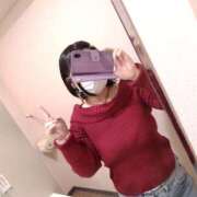 ヒメ日記 2025/11/02 10:19 投稿 玲 いたずらSぽっちゃりニャン娘