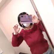 ヒメ日記 2025/11/02 16:09 投稿 玲 いたずらSぽっちゃりニャン娘