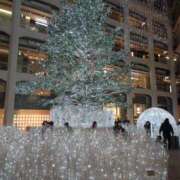 いまり クリスマスツリー 国分寺人妻研究会