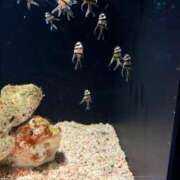 ヒメ日記 2025/01/07 15:49 投稿 かすみ 木更津人妻花壇