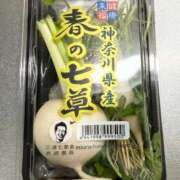 ヒメ日記 2025/01/08 05:35 投稿 かすみ 木更津人妻花壇