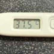 ヒメ日記 2025/01/08 06:47 投稿 かすみ 木更津人妻花壇