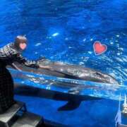 ヒメ日記 2025/01/21 20:30 投稿 かすみ 木更津人妻花壇