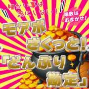 ヒメ日記 2025/02/11 16:30 投稿 かすみ 木更津人妻花壇