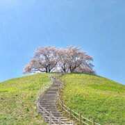 ヒメ日記 2025/03/20 05:55 投稿 かすみ 木更津人妻花壇