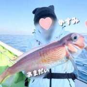 ヒメ日記 2025/04/20 03:01 投稿 かすみ 木更津人妻花壇