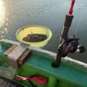 ヒメ日記 2025/04/27 06:00 投稿 かすみ 木更津人妻花壇