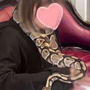 ヒメ日記 2025/05/02 05:18 投稿 かすみ 木更津人妻花壇