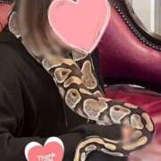 ヒメ日記 2025/05/08 19:57 投稿 かすみ 木更津人妻花壇