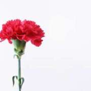 ヒメ日記 2025/05/11 07:23 投稿 かすみ 木更津人妻花壇