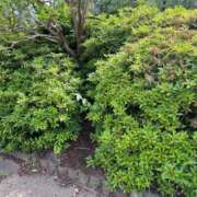 ヒメ日記 2025/05/15 18:00 投稿 かすみ 木更津人妻花壇