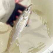 ヒメ日記 2025/06/09 06:10 投稿 かすみ 木更津人妻花壇