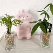 ヒメ日記 2025/07/05 06:13 投稿 かすみ 木更津人妻花壇