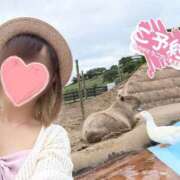 ヒメ日記 2025/07/05 14:06 投稿 かすみ 木更津人妻花壇