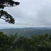 ヒメ日記 2025/07/11 12:06 投稿 かすみ 木更津人妻花壇