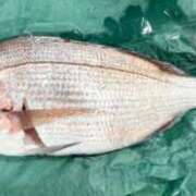 ヒメ日記 2025/07/16 00:29 投稿 かすみ 木更津人妻花壇