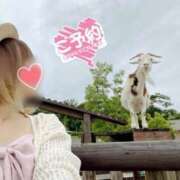 ヒメ日記 2025/07/18 14:03 投稿 かすみ 木更津人妻花壇