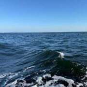 ヒメ日記 2025/07/26 06:28 投稿 かすみ 木更津人妻花壇