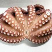 ヒメ日記 2025/07/27 05:11 投稿 かすみ 木更津人妻花壇