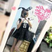 ヒメ日記 2025/07/29 13:38 投稿 かすみ 木更津人妻花壇