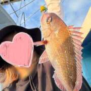 ヒメ日記 2025/08/18 06:09 投稿 かすみ 木更津人妻花壇