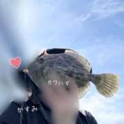 ヒメ日記 2025/09/04 05:59 投稿 かすみ 木更津人妻花壇