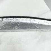 ヒメ日記 2025/09/05 19:22 投稿 かすみ 木更津人妻花壇