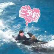 ヒメ日記 2025/09/11 12:50 投稿 かすみ 木更津人妻花壇