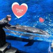 ヒメ日記 2025/09/26 23:24 投稿 かすみ 木更津人妻花壇