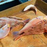 ヒメ日記 2025/09/29 04:03 投稿 かすみ 木更津人妻花壇