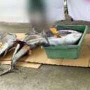 ヒメ日記 2025/10/06 06:27 投稿 かすみ 木更津人妻花壇