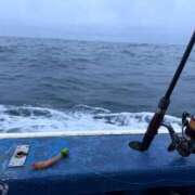 ヒメ日記 2025/10/12 05:38 投稿 かすみ 木更津人妻花壇