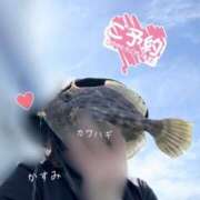 ヒメ日記 2025/10/14 15:35 投稿 かすみ 木更津人妻花壇