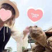 ヒメ日記 2025/10/20 17:07 投稿 かすみ 木更津人妻花壇