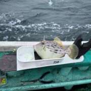 ヒメ日記 2025/11/06 09:48 投稿 かすみ 木更津人妻花壇