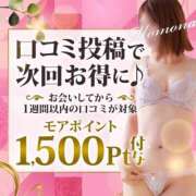 ヒメ日記 2025/11/13 14:32 投稿 かすみ 木更津人妻花壇