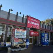 ヒメ日記 2025/11/20 14:03 投稿 かすみ 木更津人妻花壇