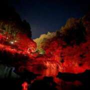 ヒメ日記 2025/11/24 20:44 投稿 かすみ 木更津人妻花壇