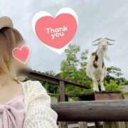 ヒメ日記 2025/11/28 12:37 投稿 かすみ 木更津人妻花壇