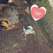 ヒメ日記 2025/11/29 21:04 投稿 かすみ 木更津人妻花壇