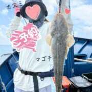 ヒメ日記 2025/12/12 18:12 投稿 かすみ 木更津人妻花壇