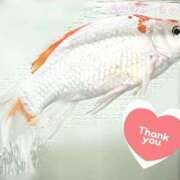 かすみ 本指名 180分 T様  ⸜(感•ᴗ•謝)⸝💖 木更津人妻花壇