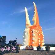 ヒメ日記 2025/12/16 06:34 投稿 かすみ 木更津人妻花壇