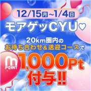 ヒメ日記 2025/12/24 01:02 投稿 かすみ 木更津人妻花壇