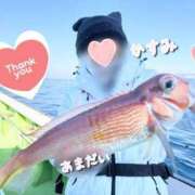 ヒメ日記 2025/12/30 13:31 投稿 かすみ 木更津人妻花壇